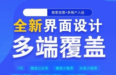 团队分销分红极差商城系统